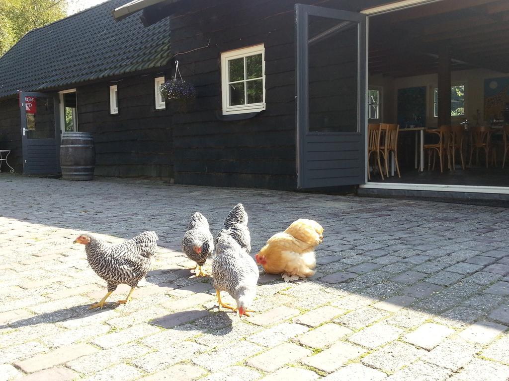Bed and Breakfast Het Bonte Paard Двінґело Екстер'єр фото